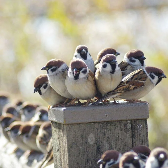 На общую тему (18.01.24)