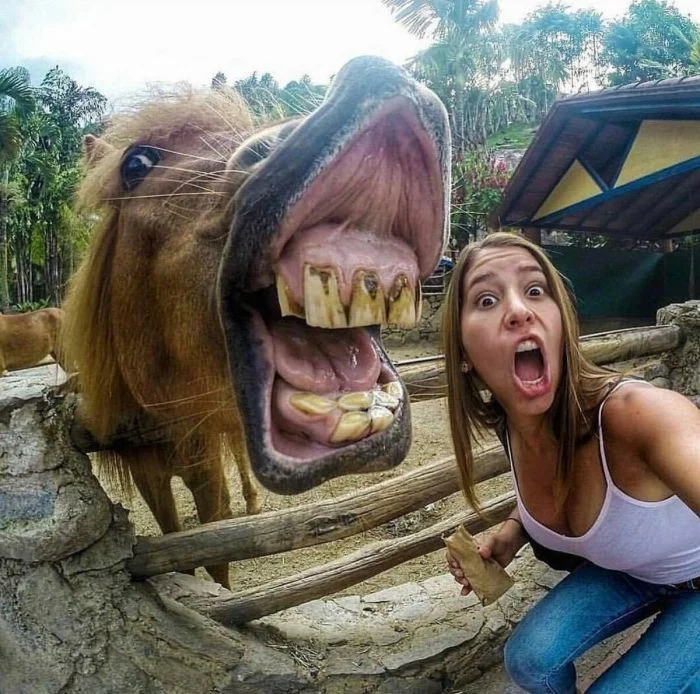 На общую тему (19.01.24)