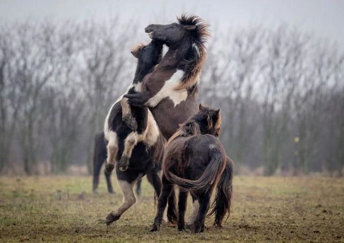 Всё вразнобой