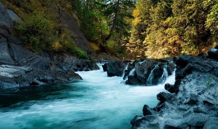 Красивые фотографит дикой природы