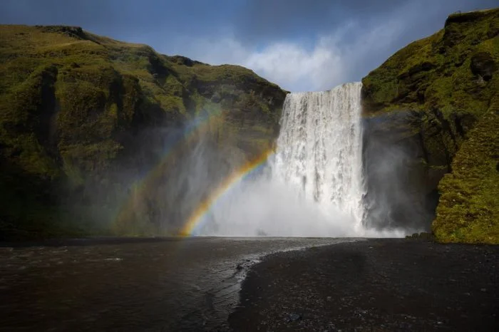 Красивые фотографит дикой природы