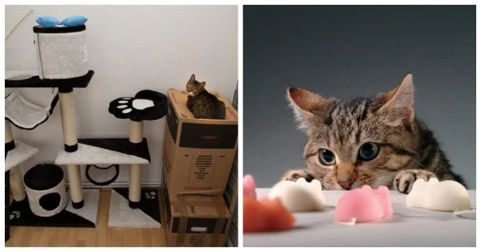 Тяжесть выбора