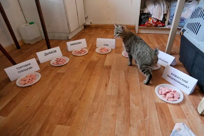 Тяжесть выбора