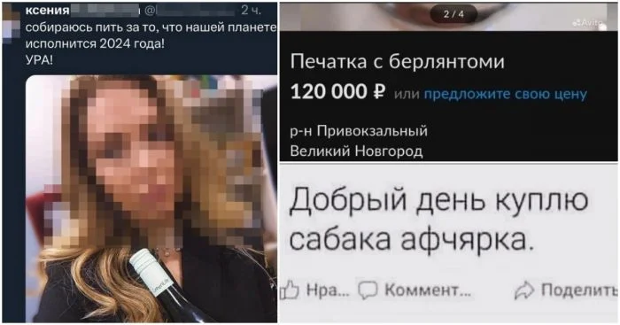 Забавные инциденты вокруг 2024 года: глупость людей против нелепых ошибок