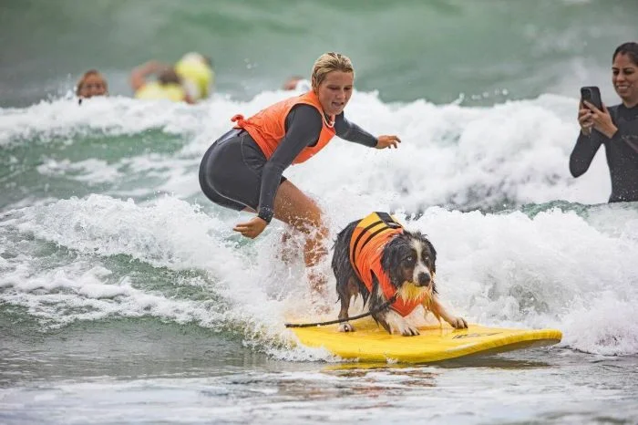 Всё вразнобой