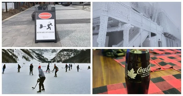 30 кадров из серии 'Тем временем в Канаде'