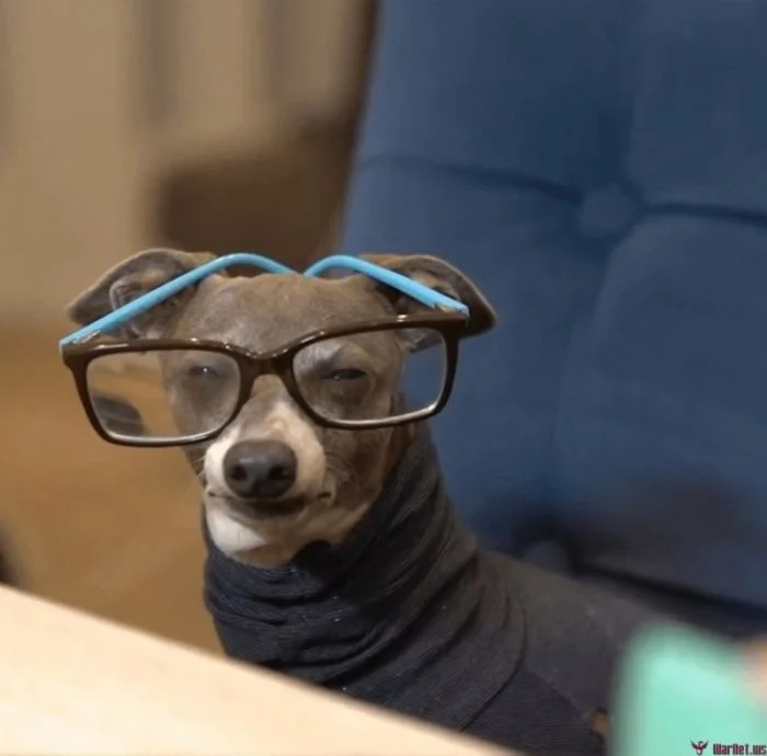 Всё вразнобой