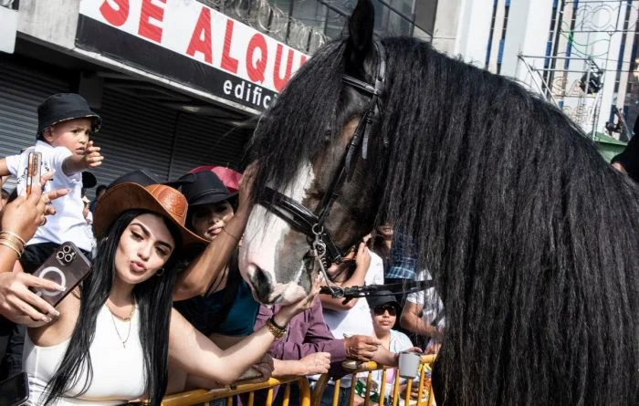 Картинки на общую тему