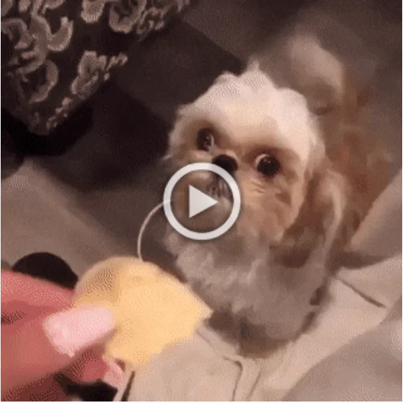 Просто гифки