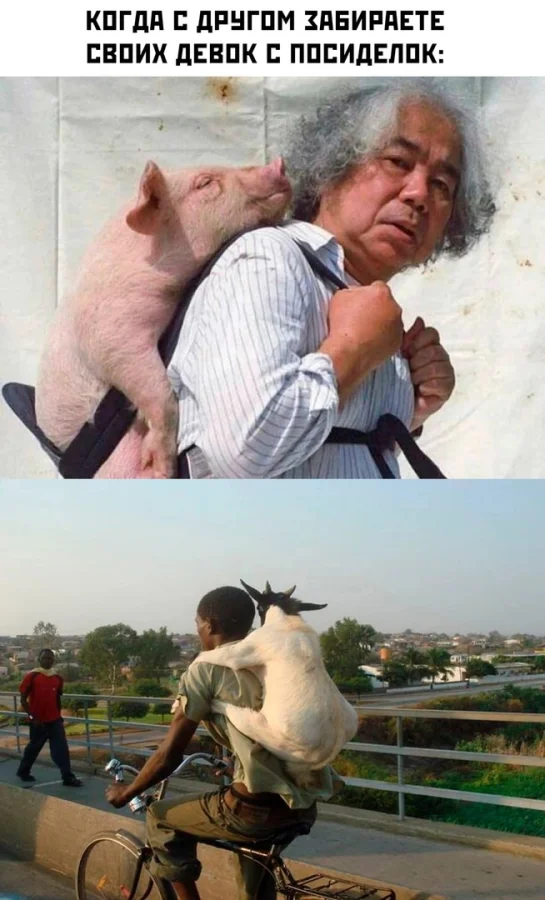 Шутки юмора