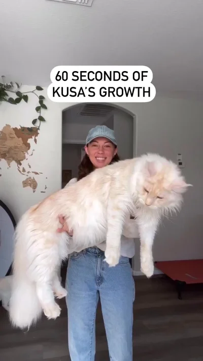 Большой котик вырос за год⁠⁠