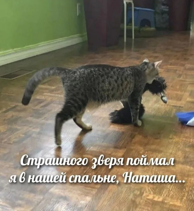 Юмор в картинках и без