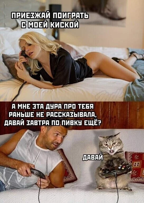 Юмор в картинках и без