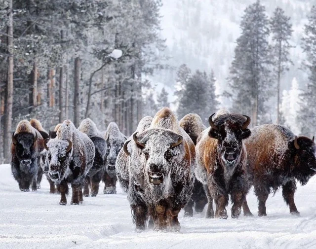 Просто фотографии