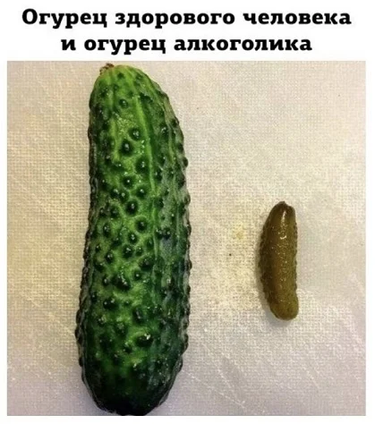 Картинки-смешинки