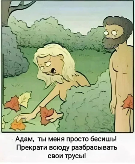 Баяны