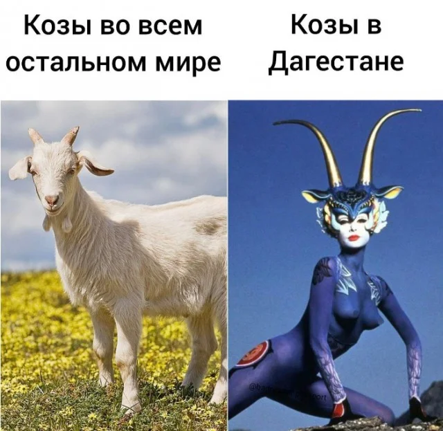 Картинулички