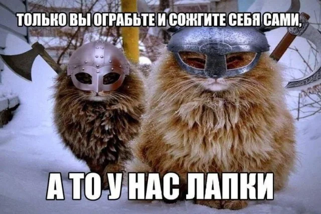 Необычно и забавно