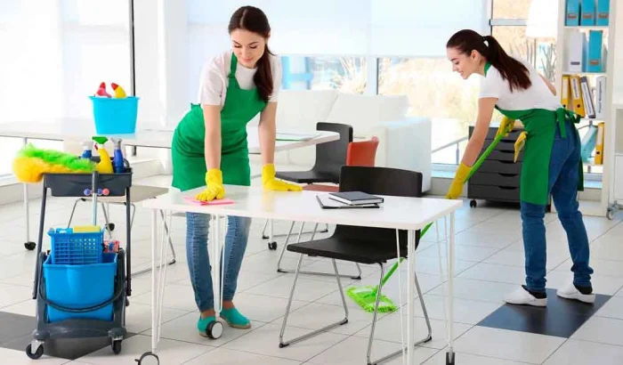 Преимущество и недостатки клининговых компаний