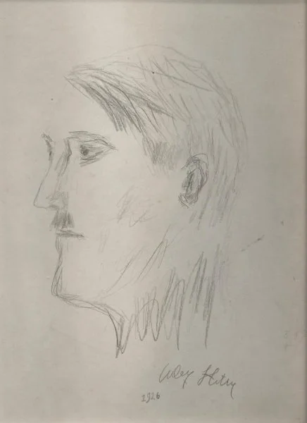 Неудача в Вене: причины глубокого сожаления