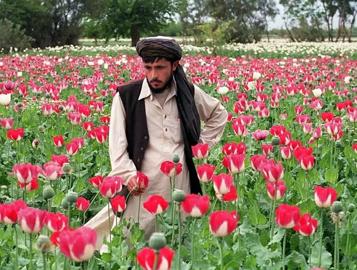 Ясмина Али: Биография раскрепощенной женщины Востока