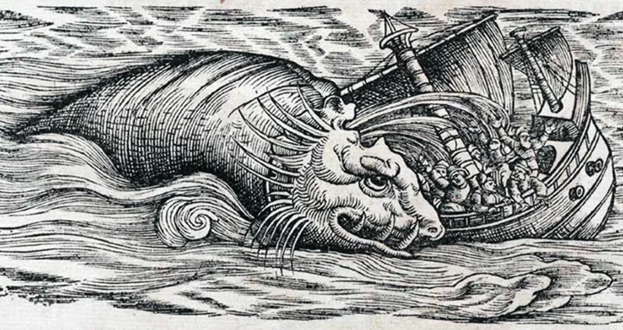 Отрицаемое тысячелетиями существо, которое оказалось реальным