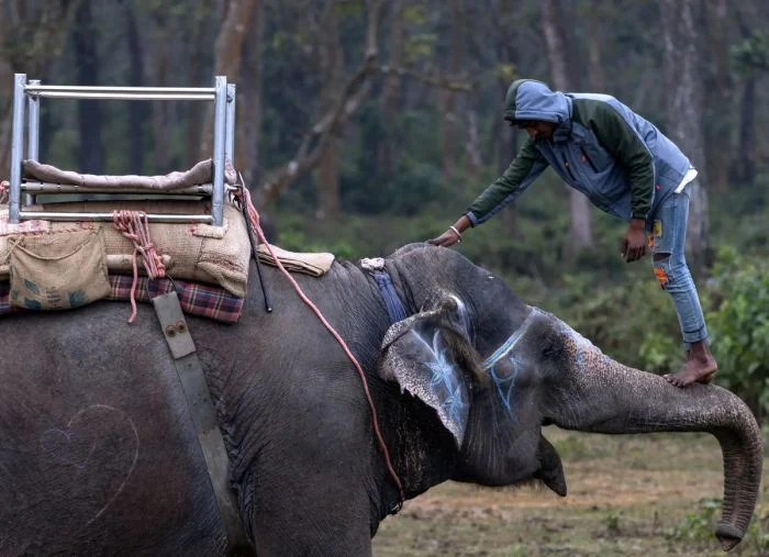 На общую тему