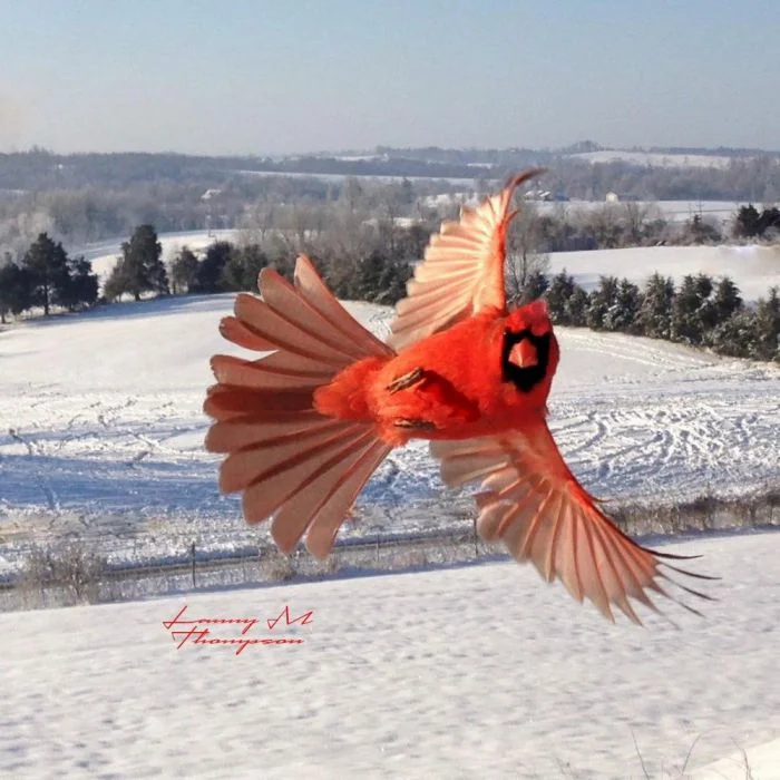 Подборка картинок на общую тему