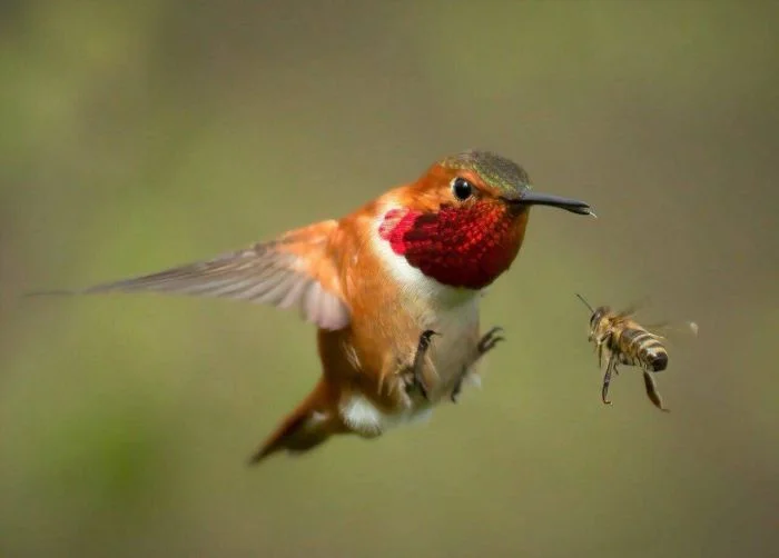 На общую тему