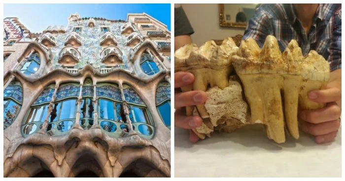 Путеводитель в мир удивительного: 17 захватывающих изображений для любознательных умов