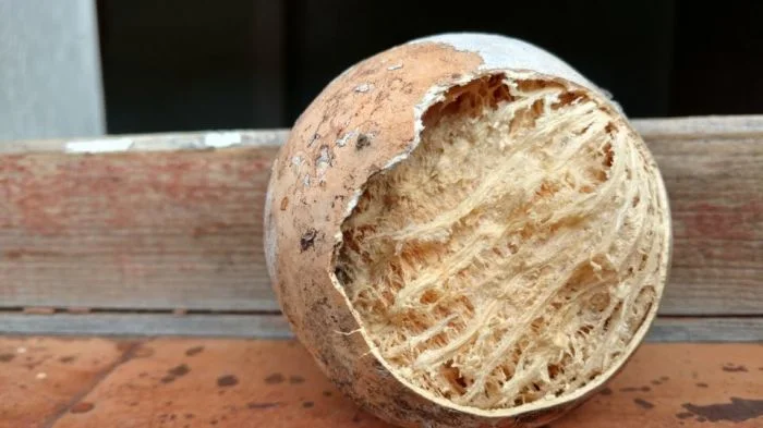 Спонтанные открытия: 16 увлекательных фотографий, демонстрирующих результаты экспериментов с окружающими вещами