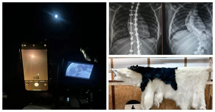 40 фотографий, открывающих новые грани восприятия окружающего мира