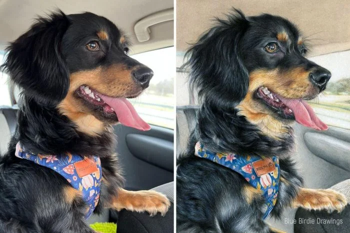 40 фотографий, открывающих новые грани восприятия окружающего мира