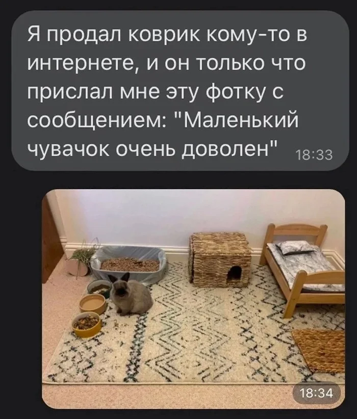 Скрины из соцсетей