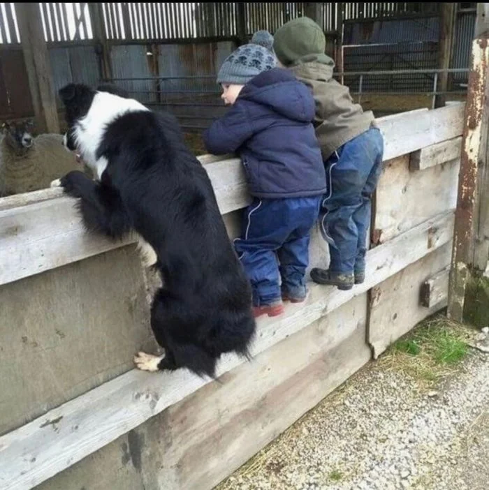 Подборка картинок на общую тему