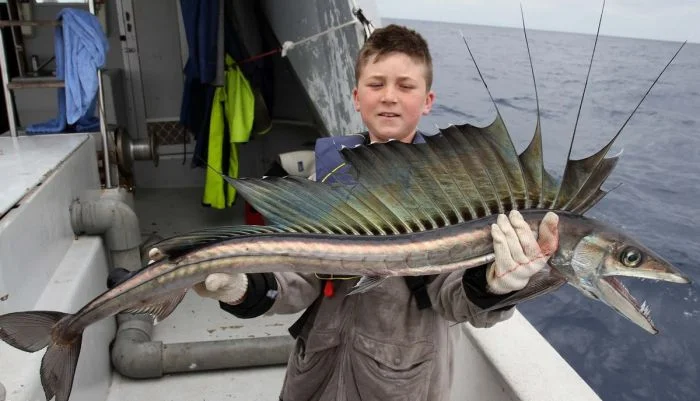 На общую тему