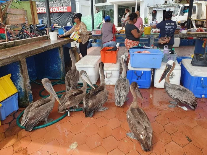 На общую тему