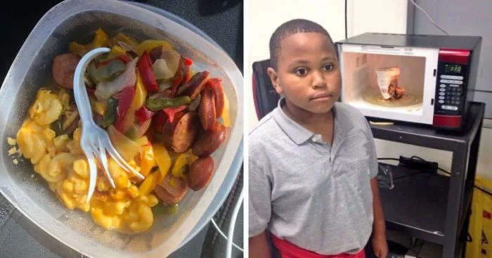 Секреты микроволновки: 18 неоспоримых доказательств, что у этого прибора есть свои правила