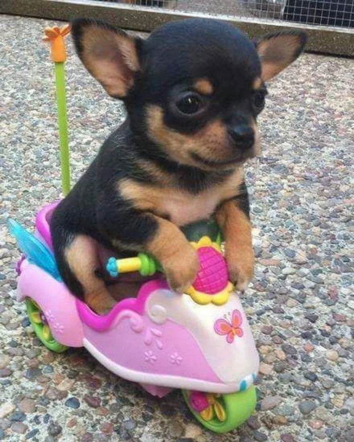 На общую тему