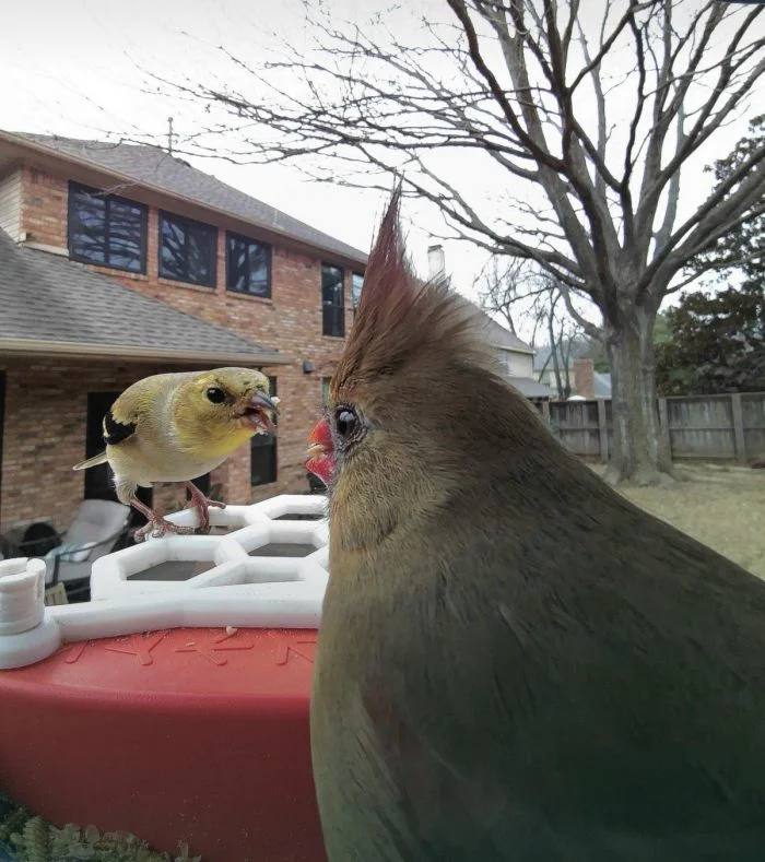 На общую тему