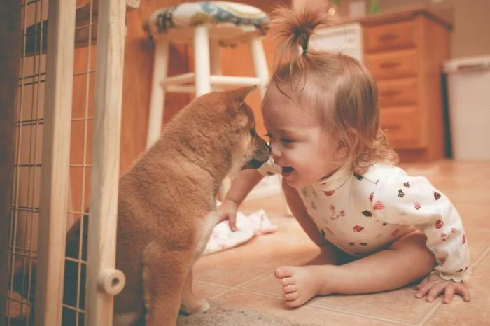 На общую тему