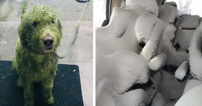 20 историй о тех, кто осознал свои ошибки