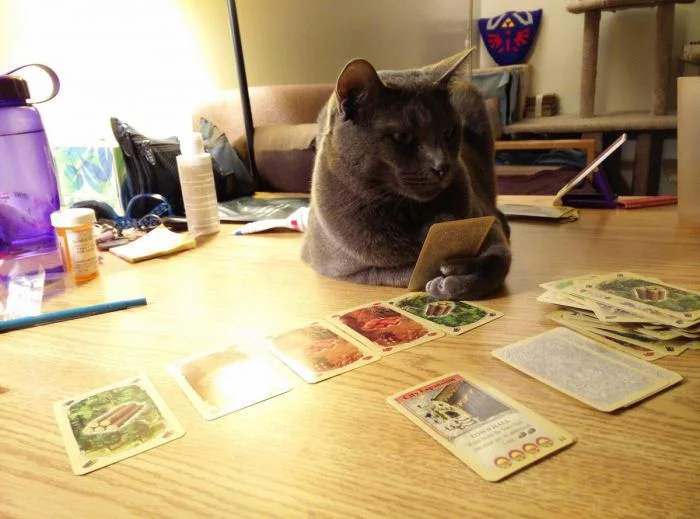 На общую тему