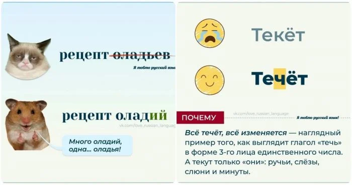 Ловушки русского языка: Правила, в которых многие допускают ошибки