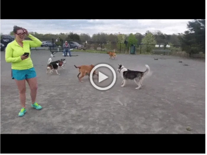 Просто гифки