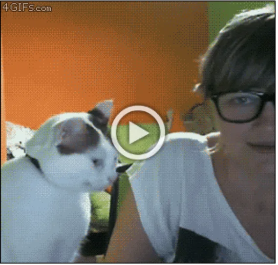 Просто гифки