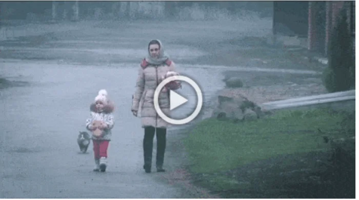 Обычные гифки