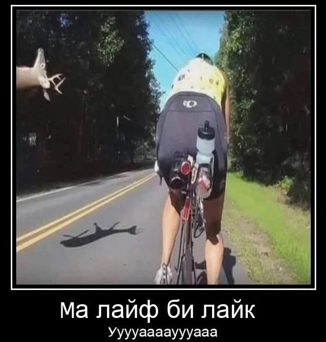 Нестандартный юмор :)