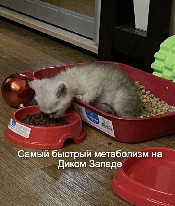 Нестандартный юмор :)