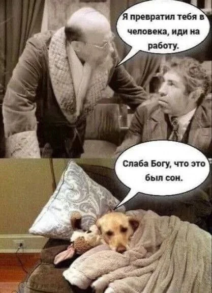 Нестандартный юмор :)